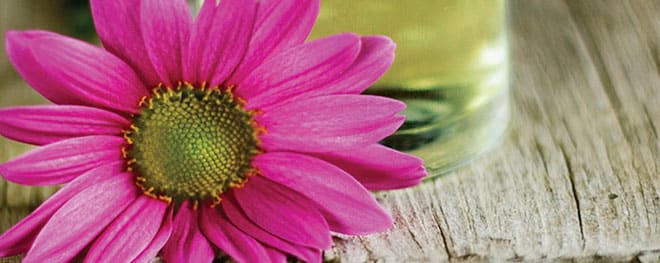 Botanic Oil Innovations