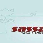 Sassafras Logo Update