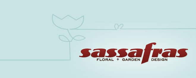 Sassafras Logo 2009 Sassafras Logo 2009