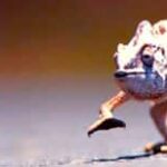 Go Mobile with Responsive Design