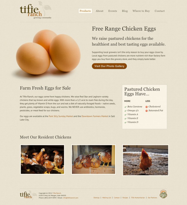 tifie-ranch-eggs