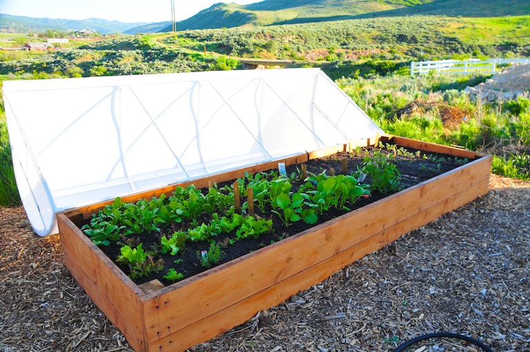 Raised Bed Garden Spigot Design