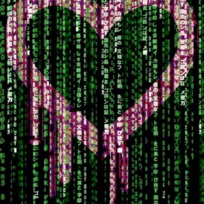 The Heartbleed OpenSSL Bug