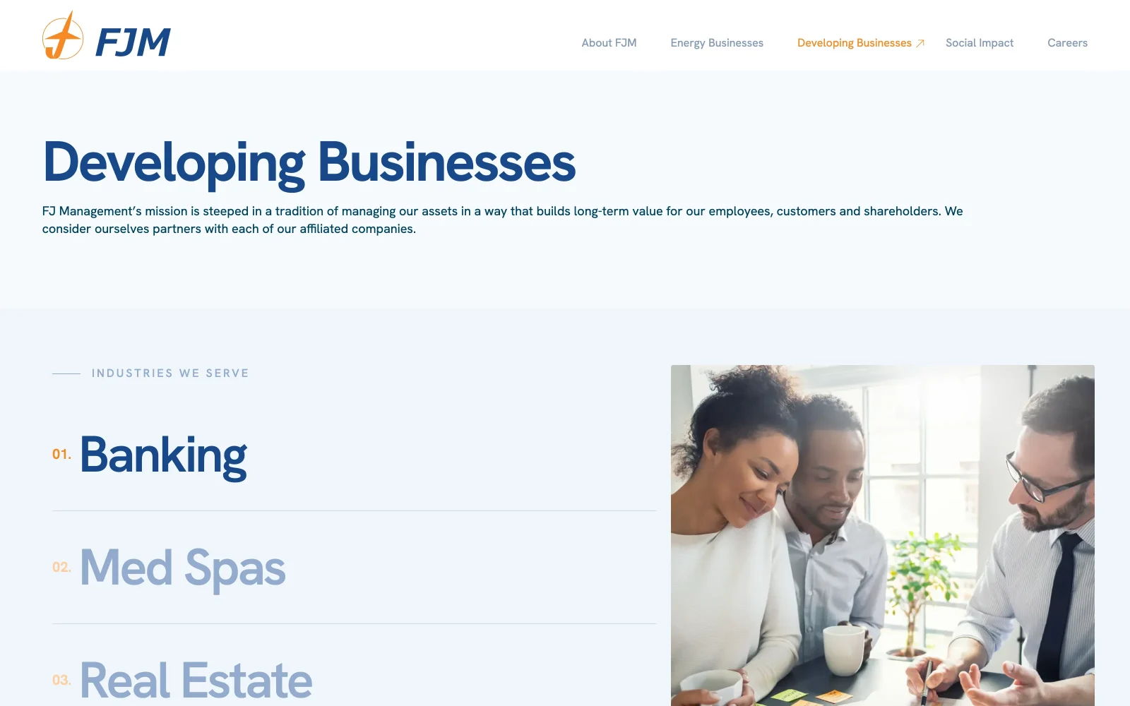FJ Management website — Developing Businesses page
