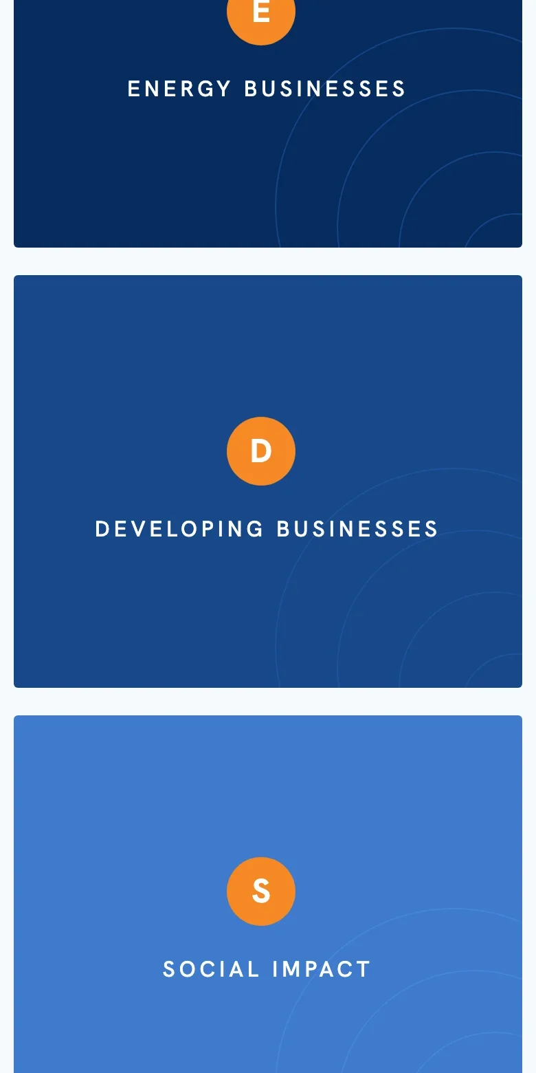 FJ Management website — mobile view